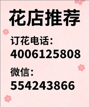 临沂罗庄区花店哪家好